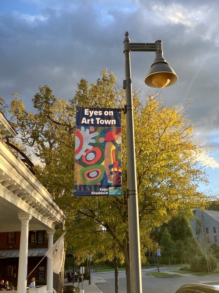 A banner hangs from a light post on Spring Street in Williamstown. The banner show artwork by a local artist Kaye Shaddock.