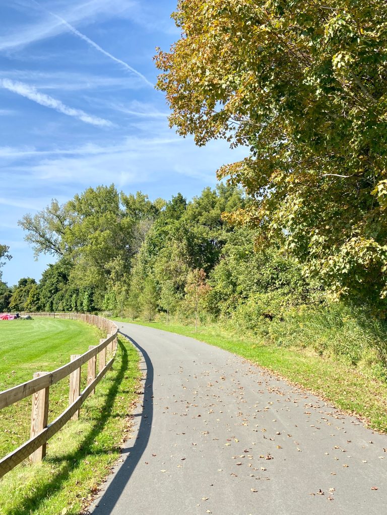 An image of a paved walking path with a fence on the right, grass and trees.